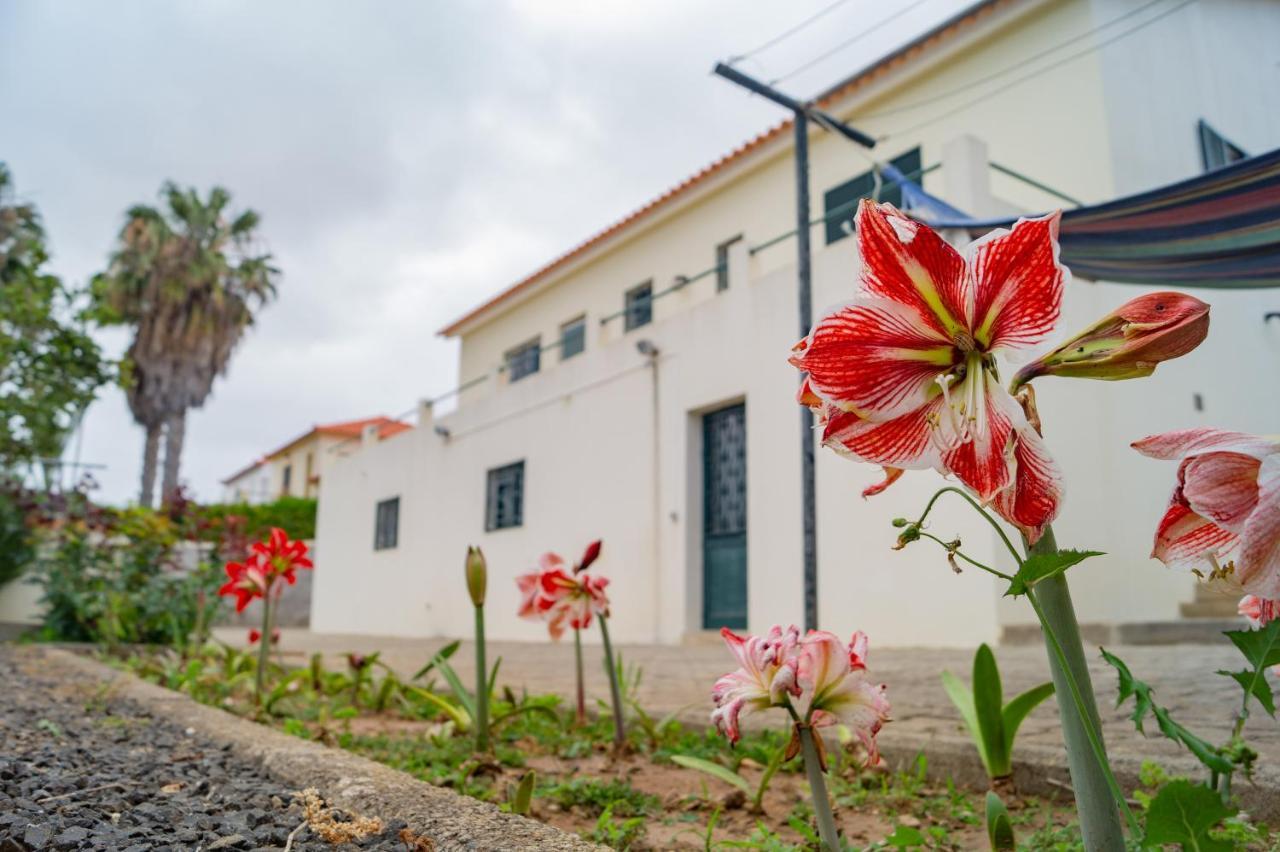Slowing Villas - Villa Oceano Porto Santo Eksteriør billede